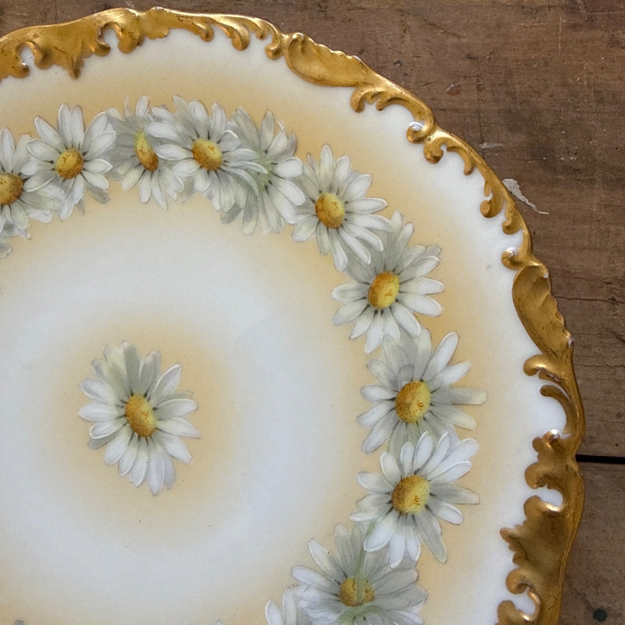 Vintage Tressemanes & Vogt Daisies 8.25" Salad Luncheon Plate TRV18 T&V France