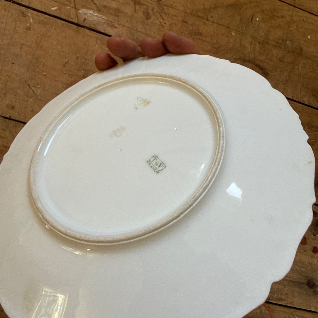 Vintage Tressemanes & Vogt Daisies 8.25" Salad Luncheon Plate TRV18 T&V France