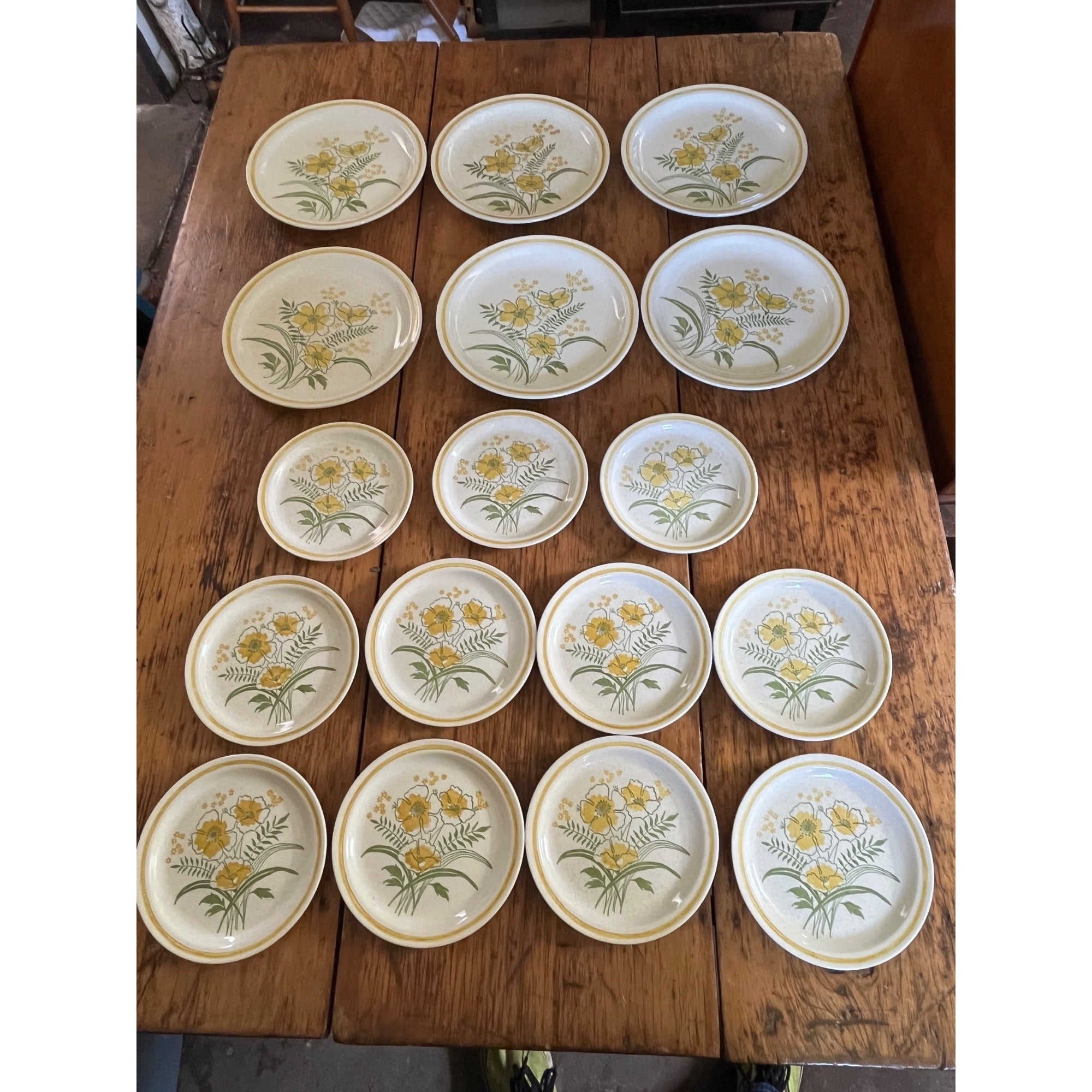 Vintage 1970s Roycroft Stoneware Co. Sunshine Prairie Flower Dinner & Salad Plates 17pcs