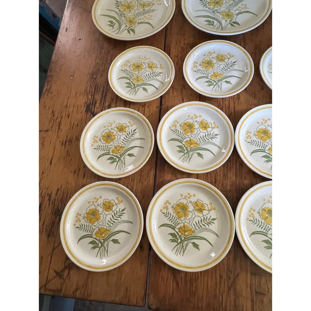 Vintage 1970s Roycroft Stoneware Co. Sunshine Prairie Flower Dinner & Salad Plates 17pcs