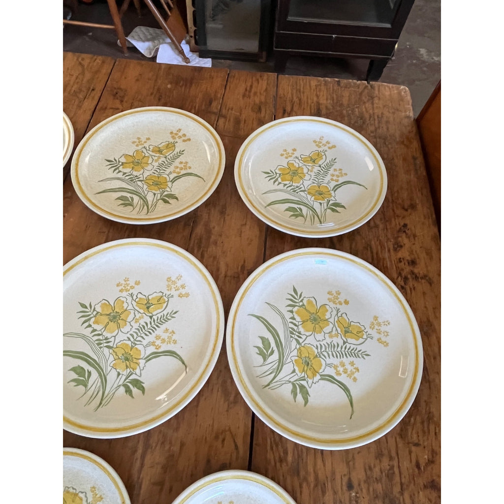 Vintage 1970s Roycroft Stoneware Co. Sunshine Prairie Flower Dinner & Salad Plates 17pcs