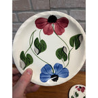 Vintage Blue Ridge Set of (3) Southern Blue & Red Flowers Dessert Plates 7.25"