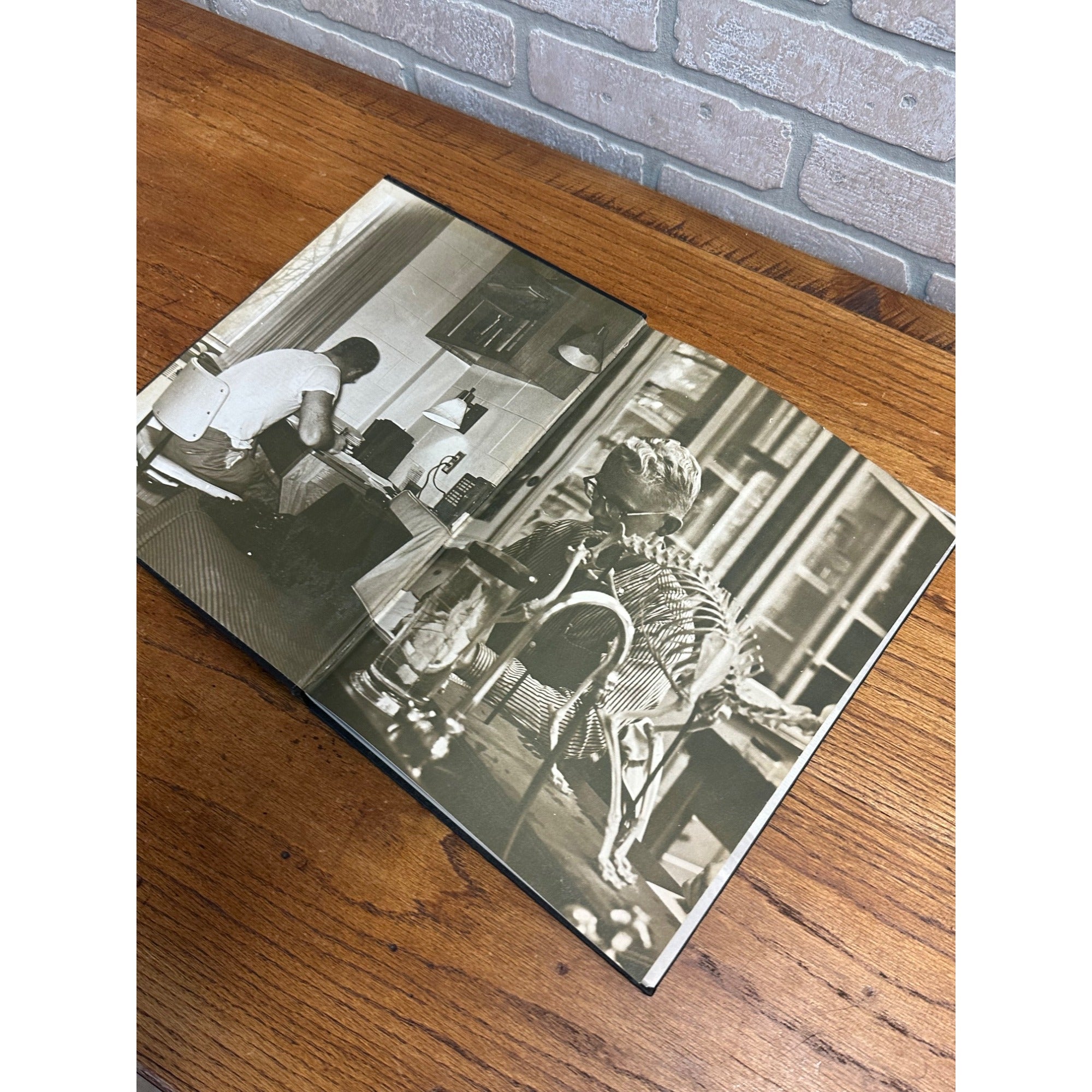 Vintage 1960 Iris Wisconsin State College Stevens Point WI Year Book University