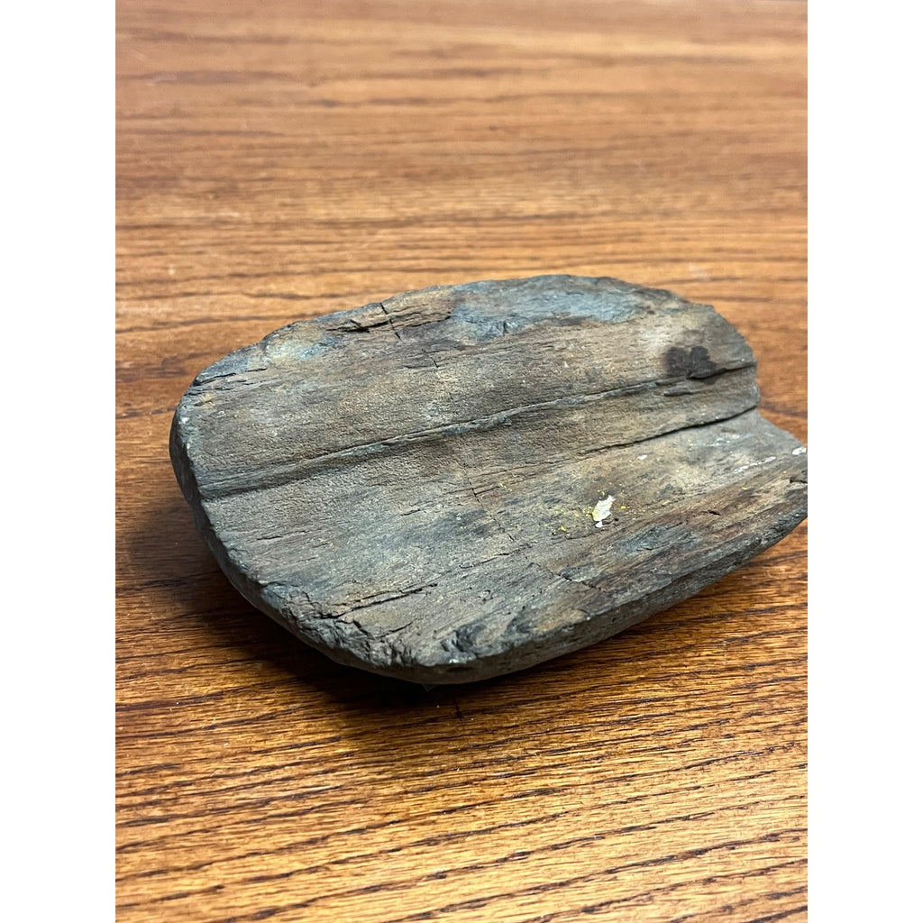 Petrified Wood Desk Pen Caddy or Business Card Holder Natural Specimen