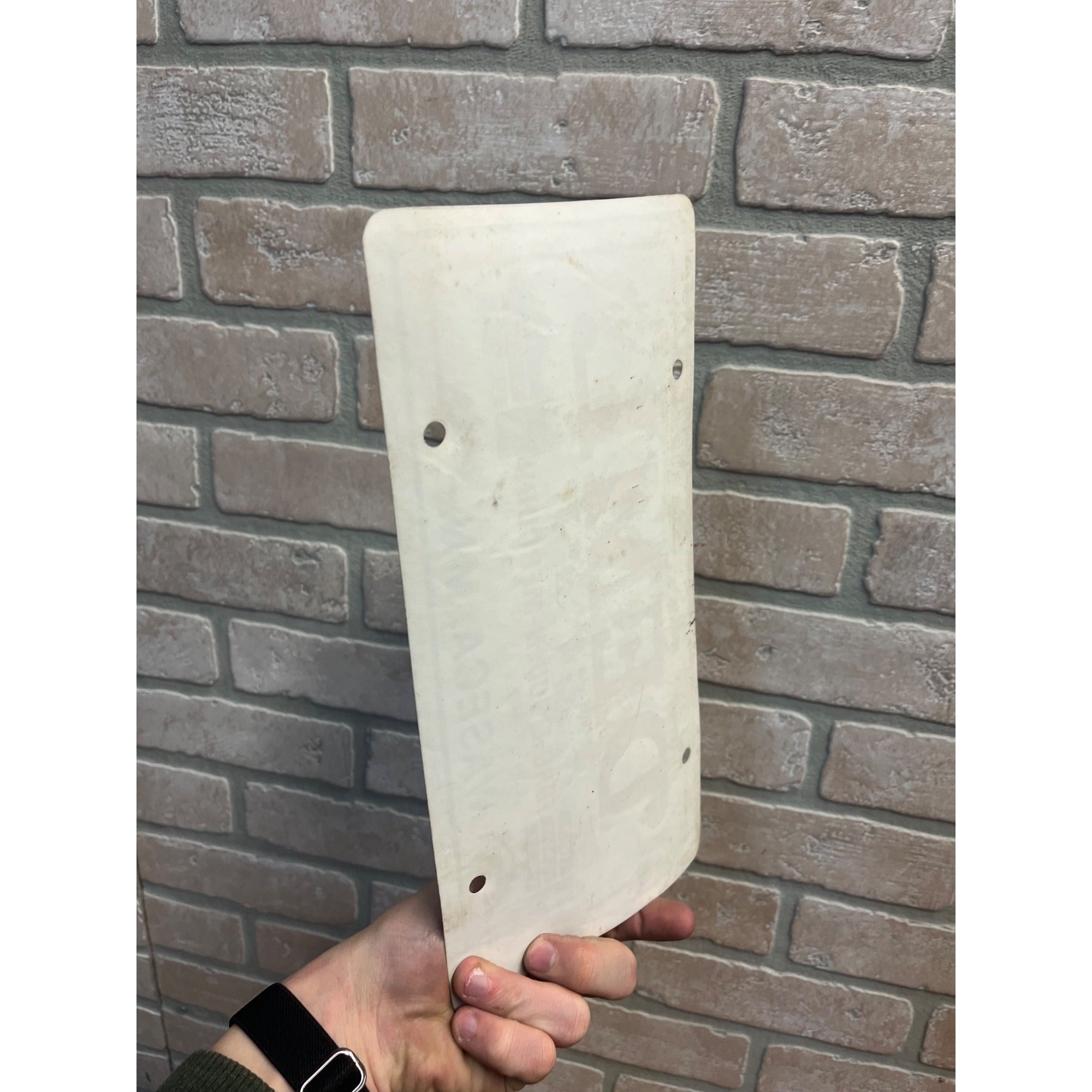 Vintage Deml Ford Mercury Lincoln Waseca MN Dealership Booster License Plate