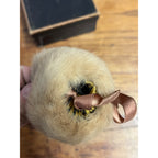 Antique Victorian Edwardian Child’s Fur Mink Muff Hand Warmer & Collar w/ Box