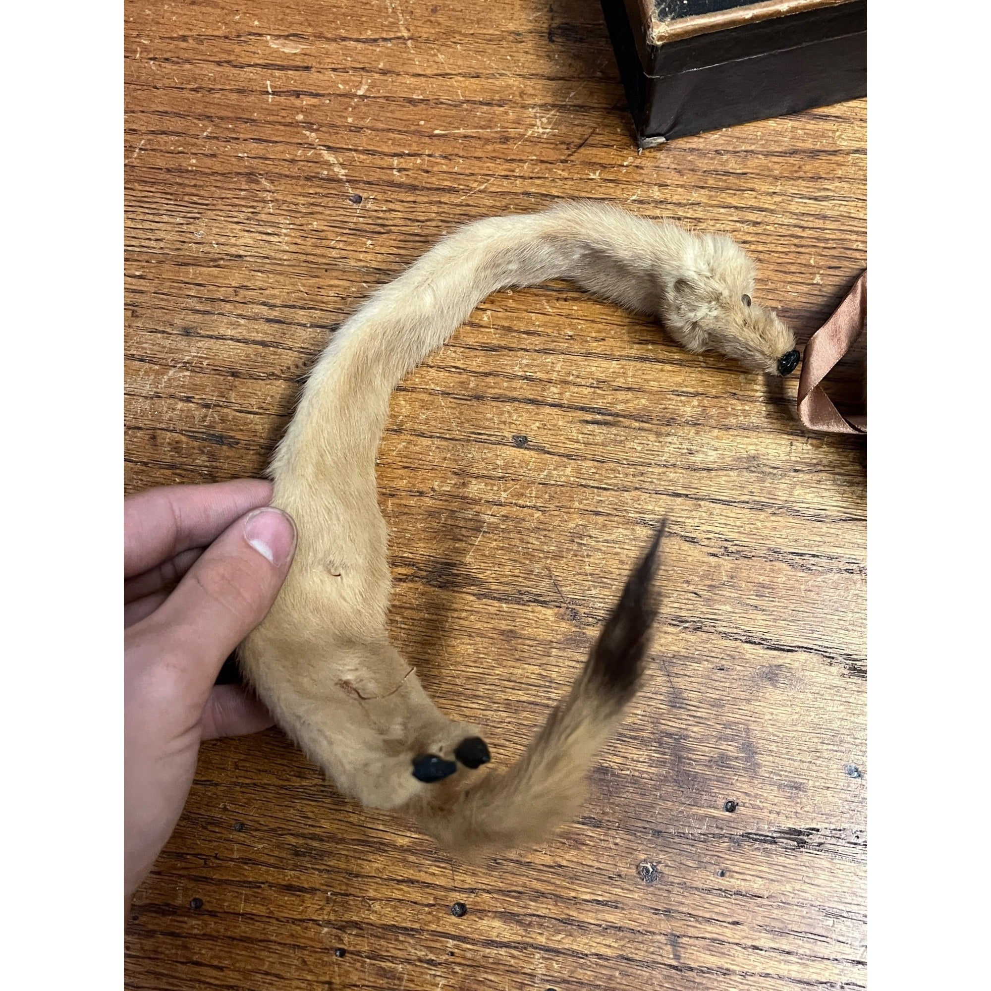 Antique Victorian Edwardian Child’s Fur Mink Muff Hand Warmer & Collar w/ Box
