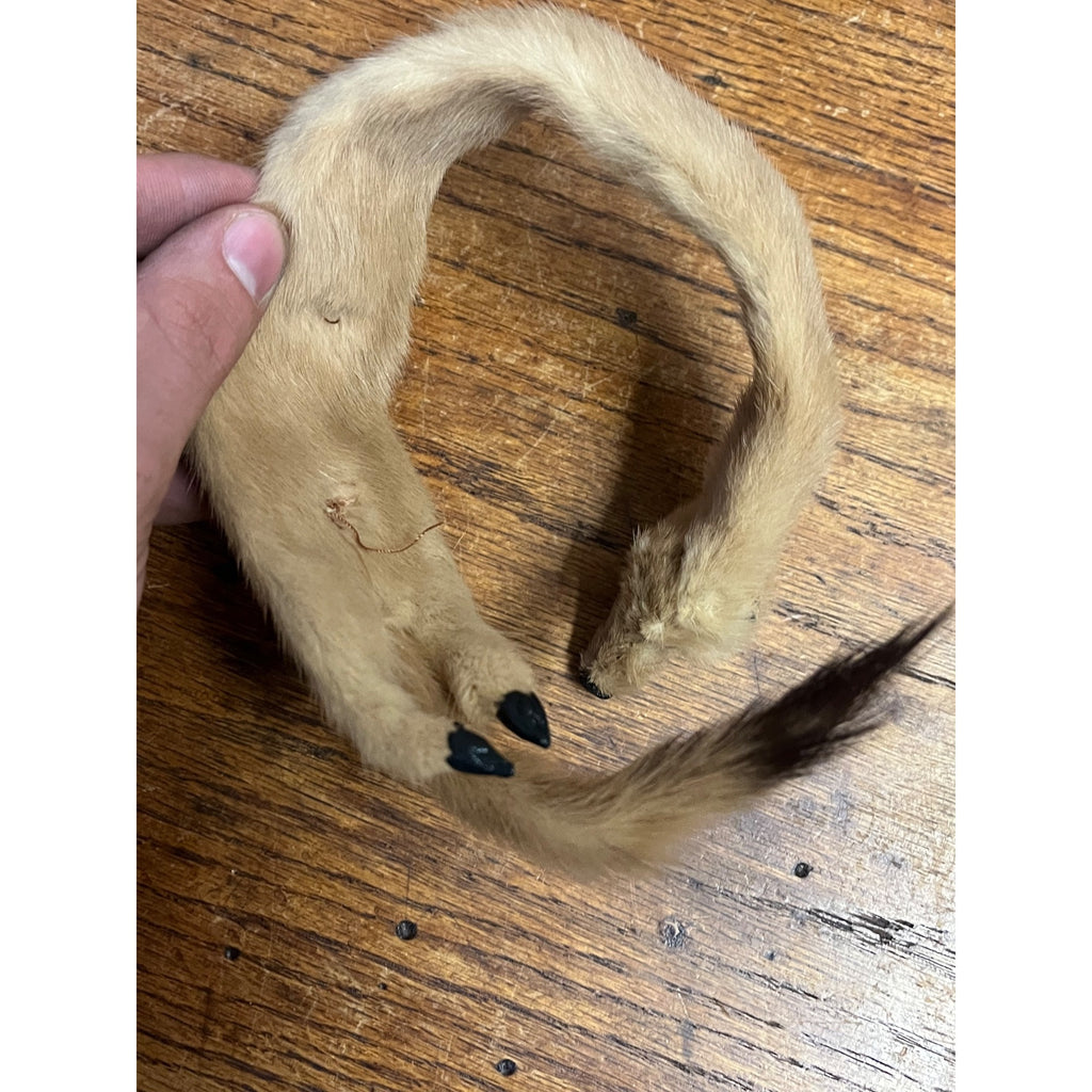 Antique Victorian Edwardian Child’s Fur Mink Muff Hand Warmer & Collar w/ Box