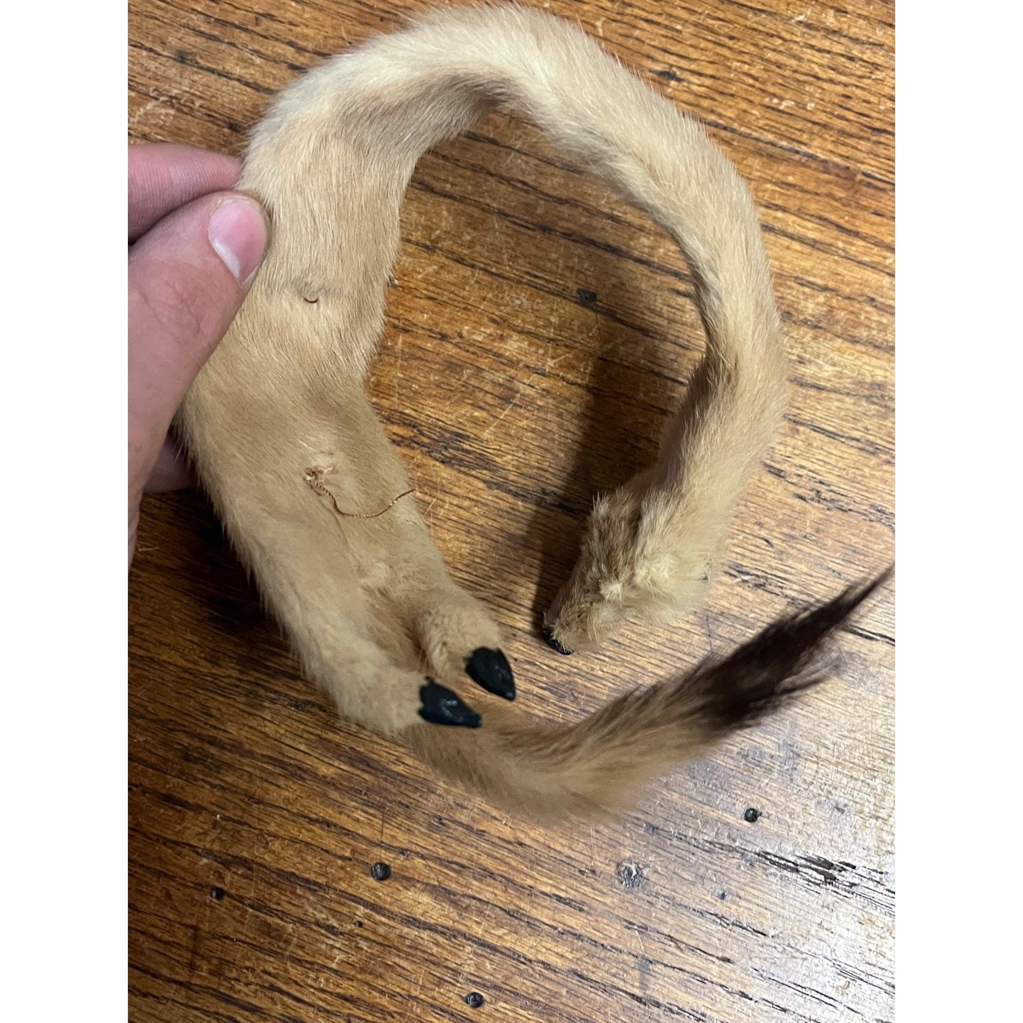 Antique Victorian Edwardian Child’s Fur Mink Muff Hand Warmer & Collar w/ Box