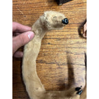 Antique Victorian Edwardian Child’s Fur Mink Muff Hand Warmer & Collar w/ Box