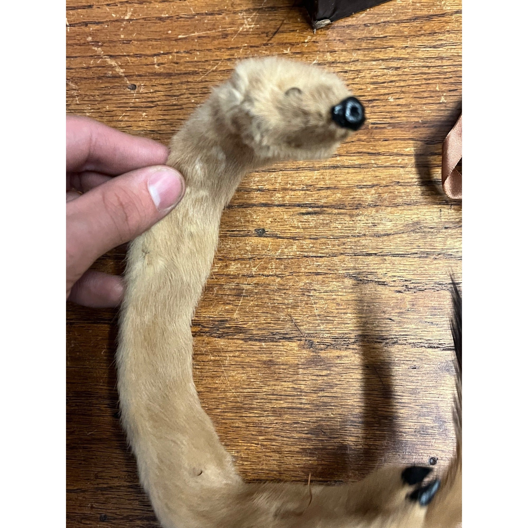 Antique Victorian Edwardian Child’s Fur Mink Muff Hand Warmer & Collar w/ Box