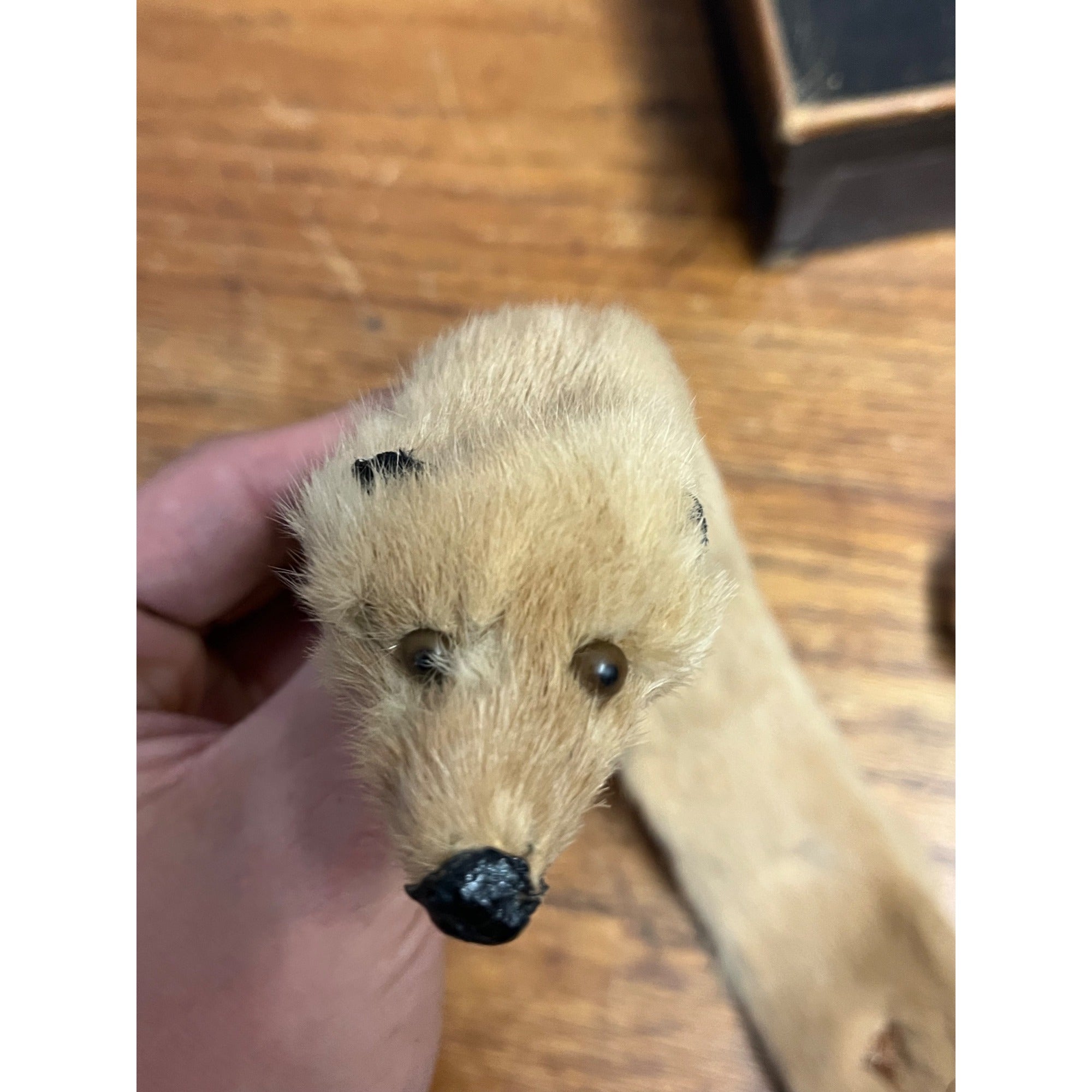 Antique Victorian Edwardian Child’s Fur Mink Muff Hand Warmer & Collar w/ Box