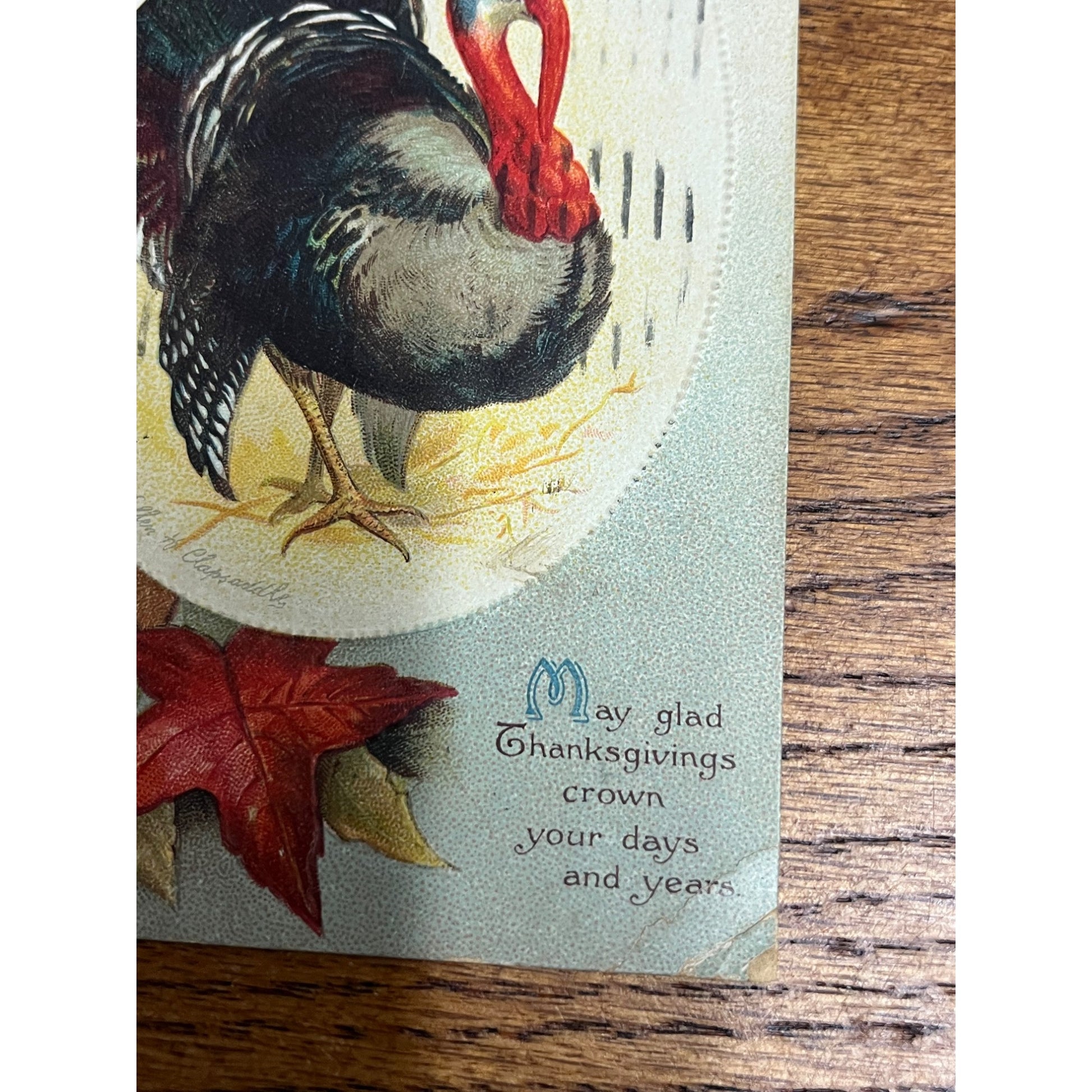 Vintage Ellen Clapsaddle Thanksgiving Turkey Postcard Artist Series 1668