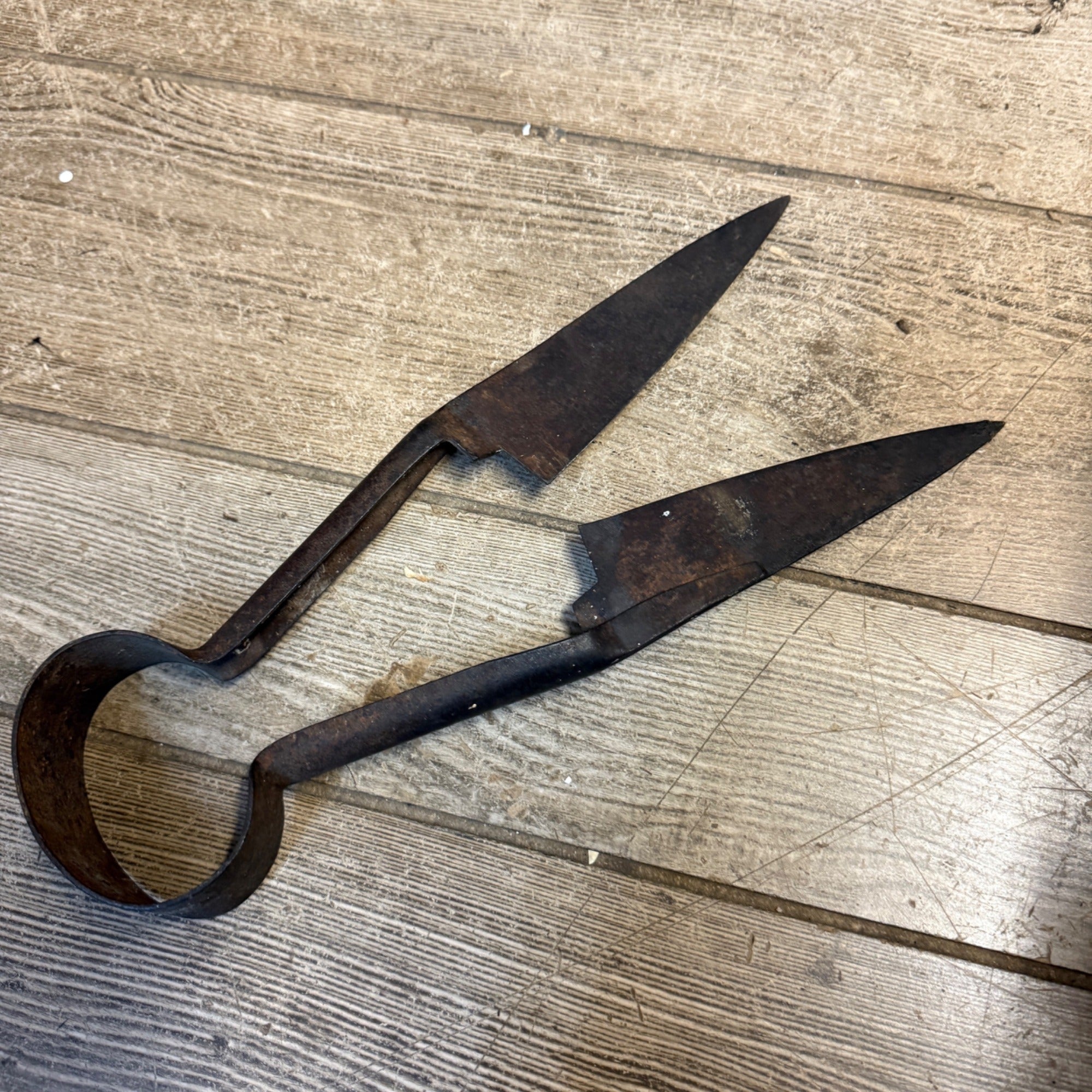 Antique Primitive Sheep Shears Farm Tool Wall Decor