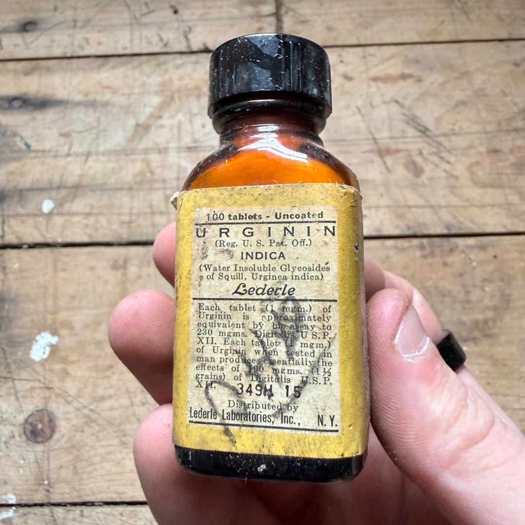 Vintage Urginin Indica Tablets Lederle Drug Store Pharmacy Medicine Bottle