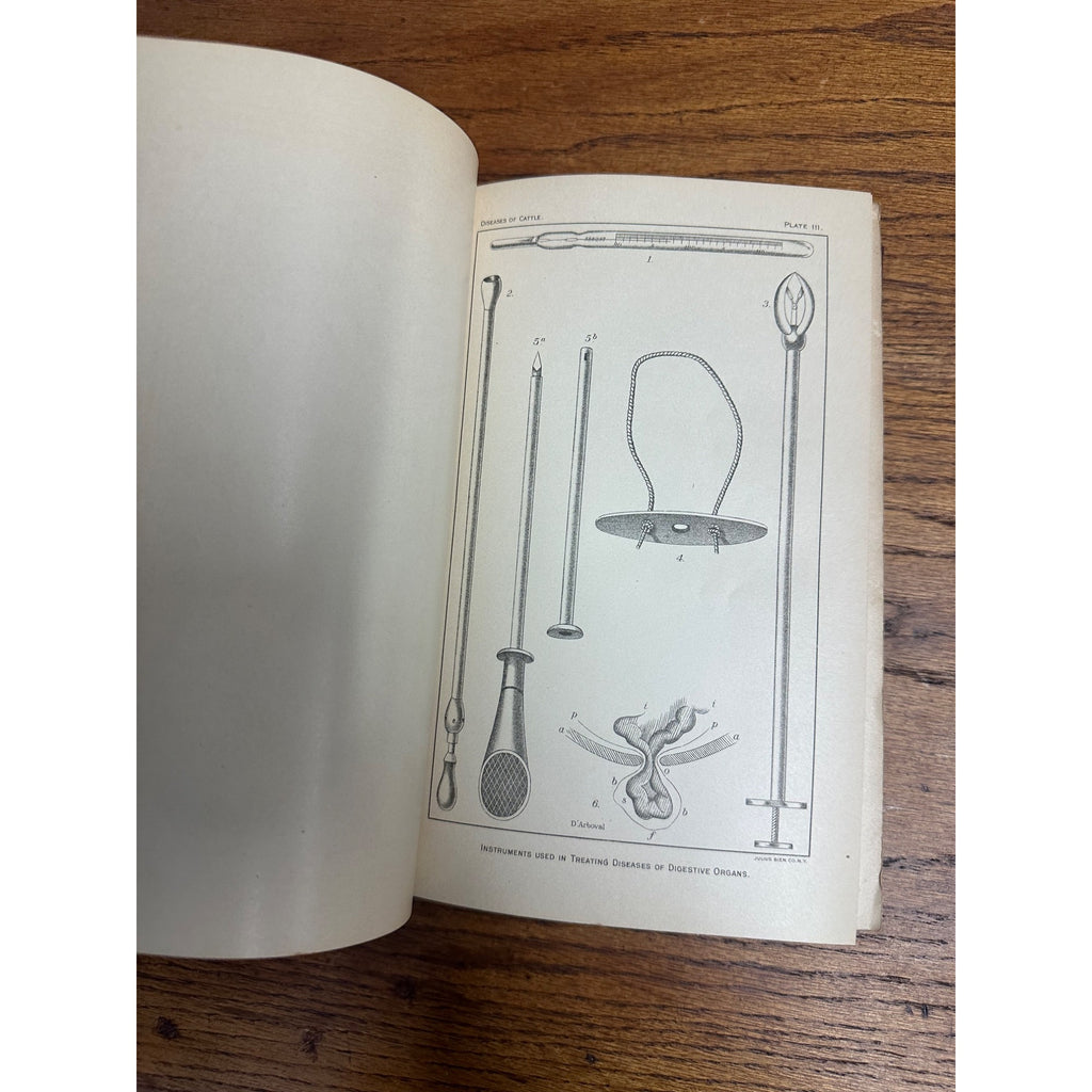 1912 Diseases of Cattle Hardcover Book Dept. of Agriculture Farm Dairy Illustrated