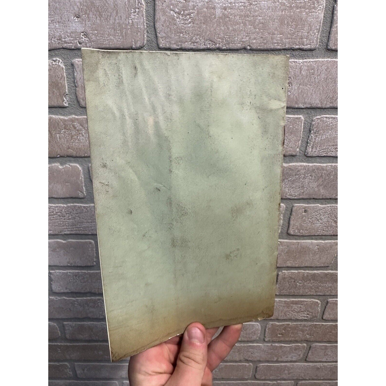 RARE Vintage c1917 Briggs-Detroiter Co. Automobile Manual Models A,B,C,D,F