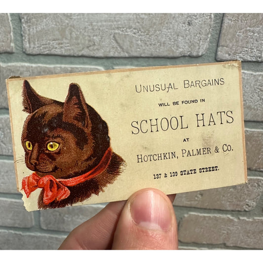 Antique Hotchkin, Palmer, & Co. Chicago Advertising Trade Card School Hats Cat