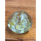 Art Glass Paperweight Millefiori Yellow Gold White Flowers Murano Style, Murano