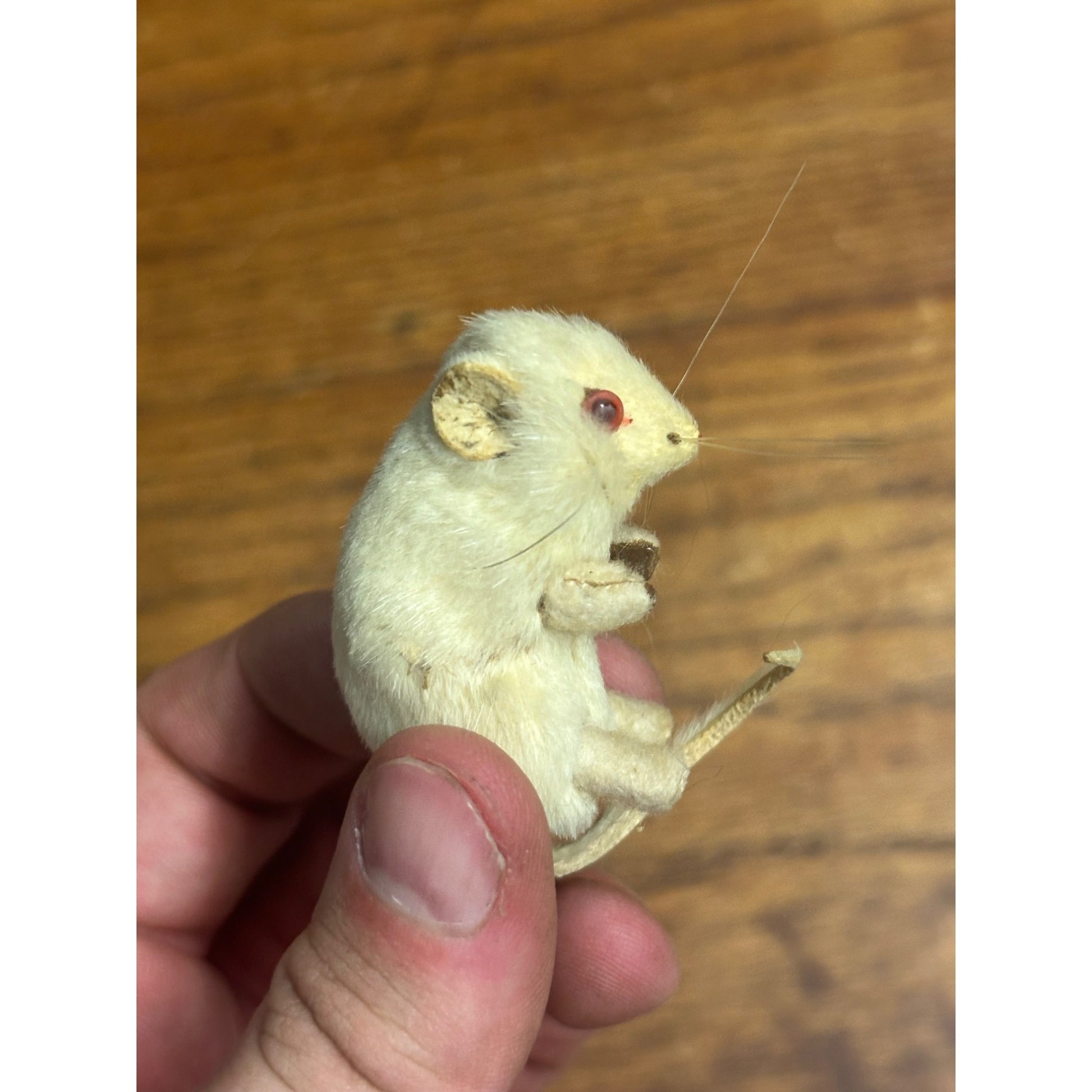Vintage Antique White Fur Mouse & Squirrel Made in Germany Toys