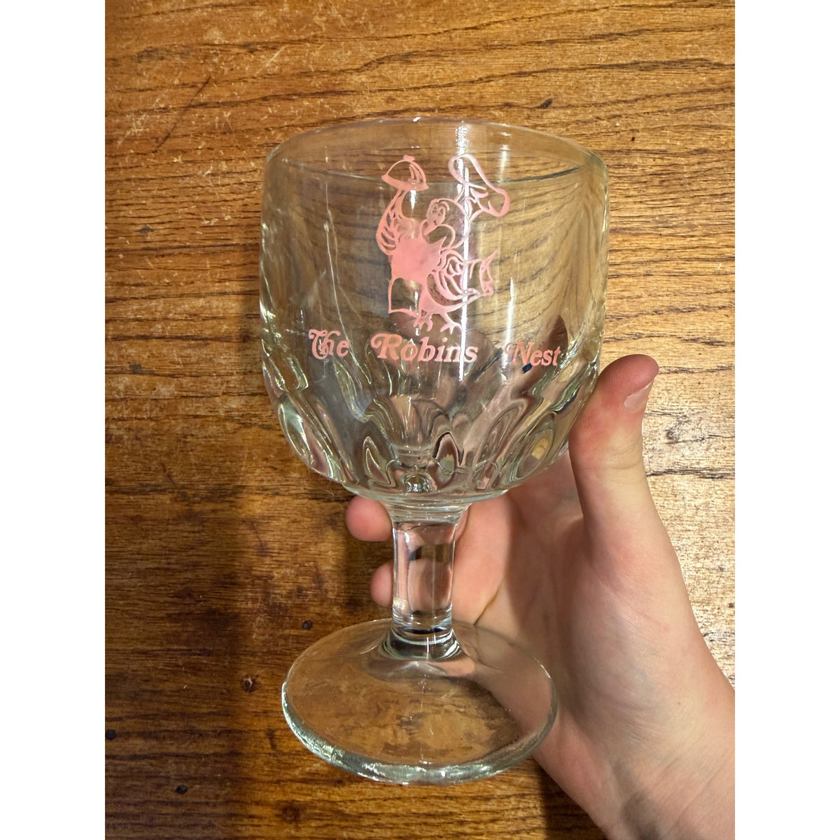 Vintage 1970s Robins Nest Glass Goblet Drinking Mug Thumbprint