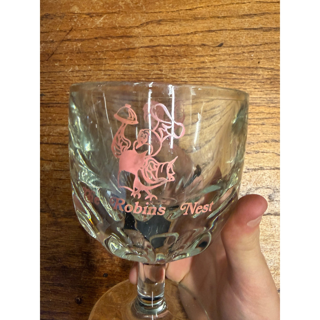 Vintage 1970s Robins Nest Glass Goblet Drinking Mug Thumbprint