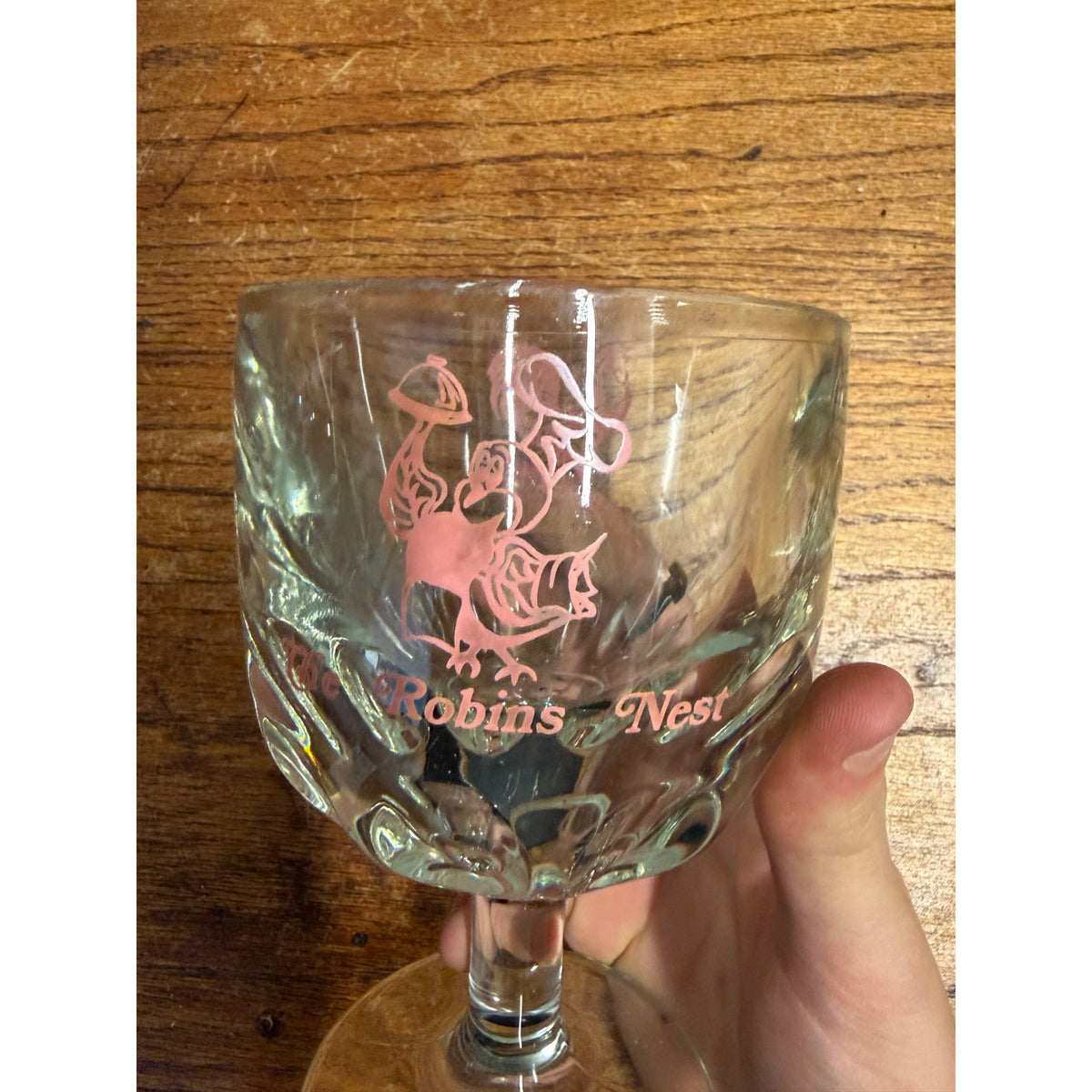 Vintage 1970s Robins Nest Glass Goblet Drinking Mug Thumbprint