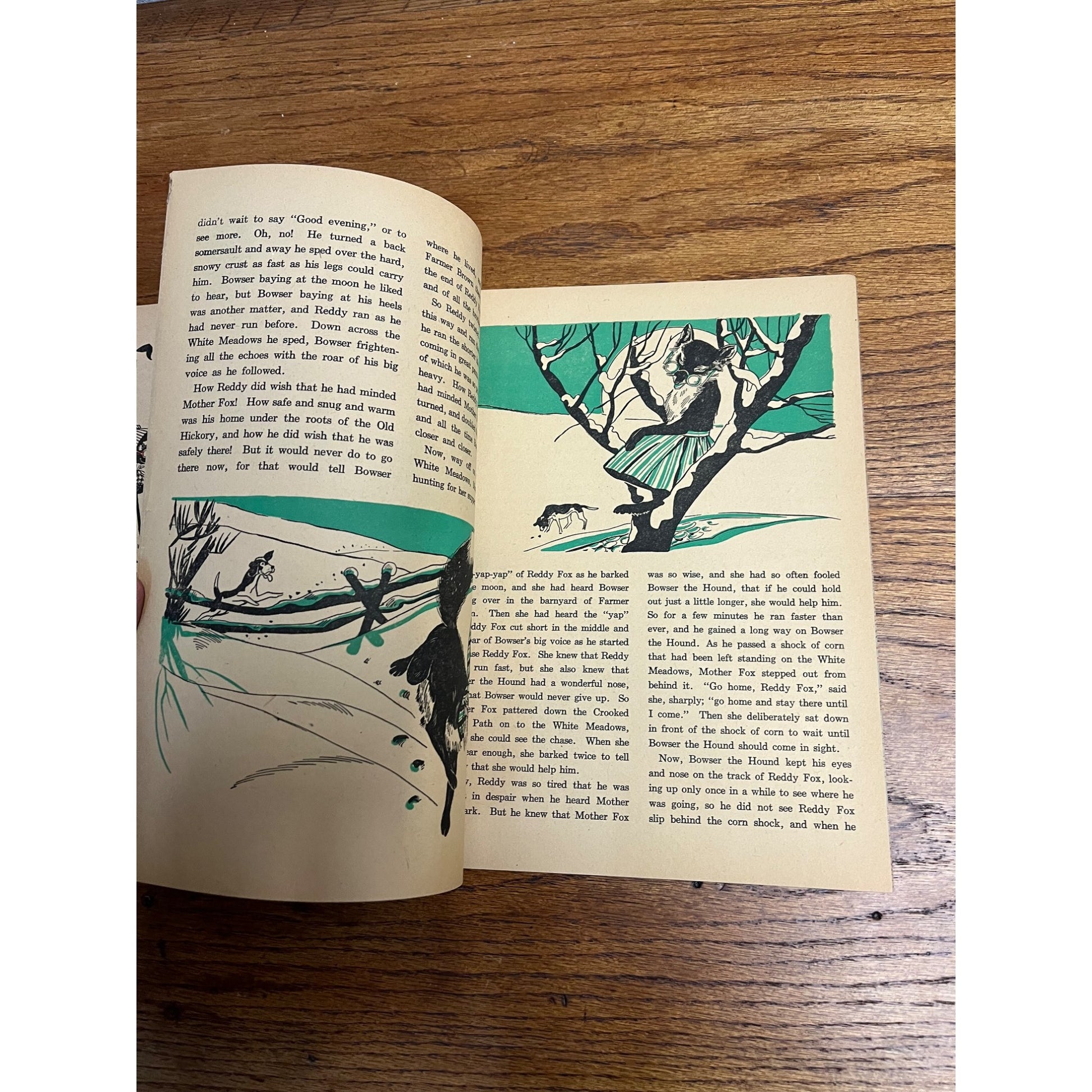 Vintage 1944 Why Peter Rabbits Ears Are Long Read & Color Story Book