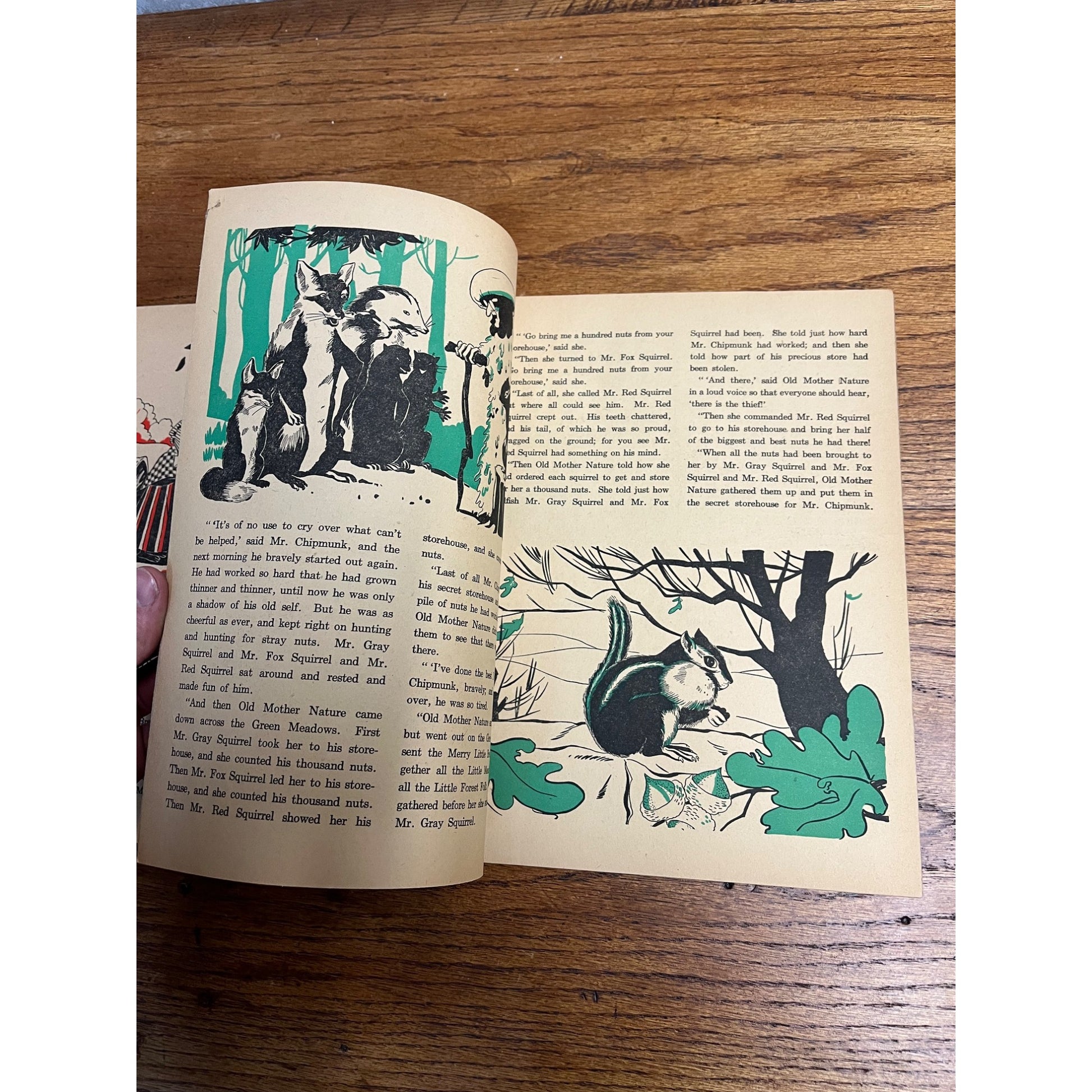 Vintage 1944 Why Peter Rabbits Ears Are Long Read & Color Story Book