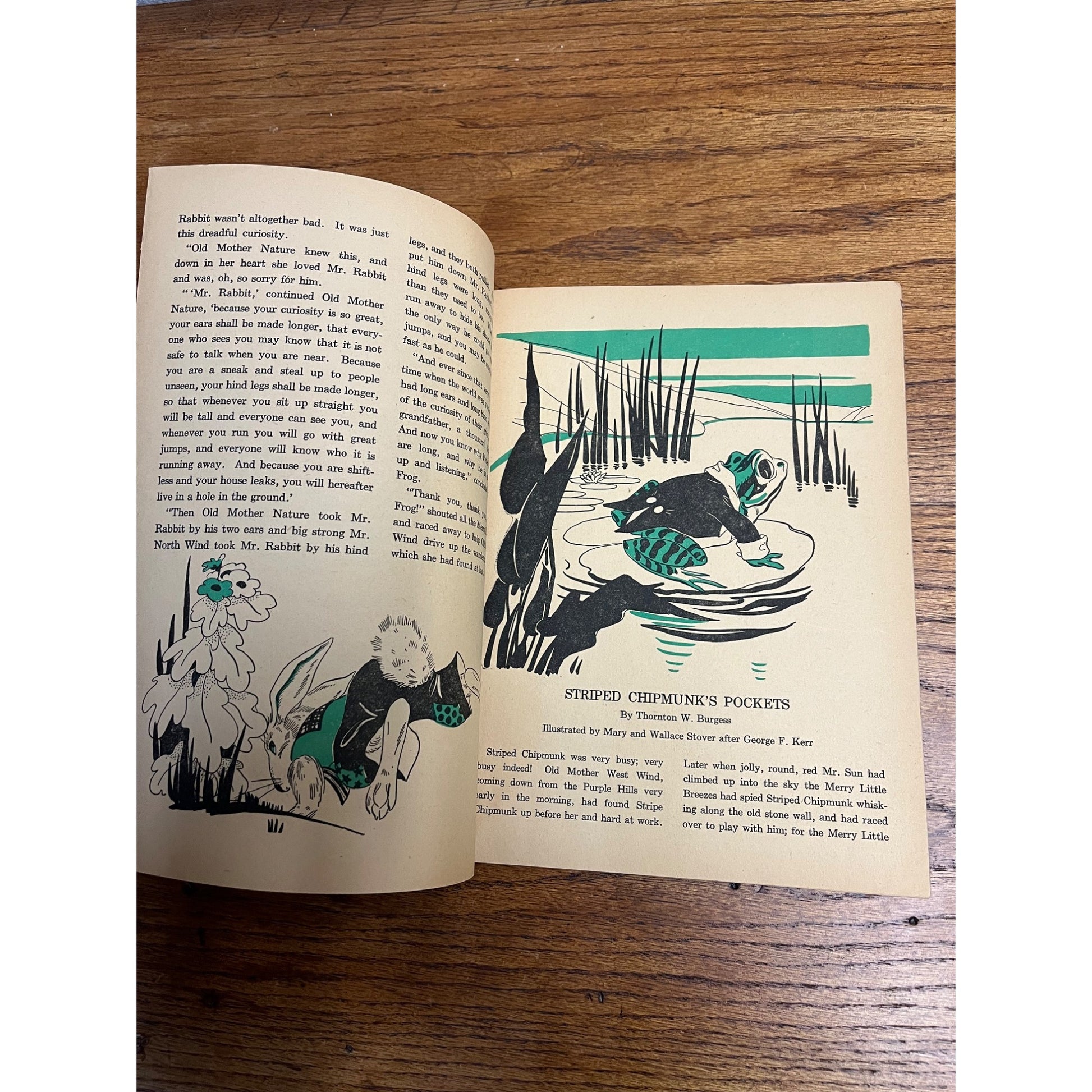 Vintage 1944 Why Peter Rabbits Ears Are Long Read & Color Story Book