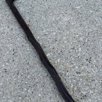 Antique Blackthorn Shillelagh Irish Tradition Walking Stick Cane 34.5"
