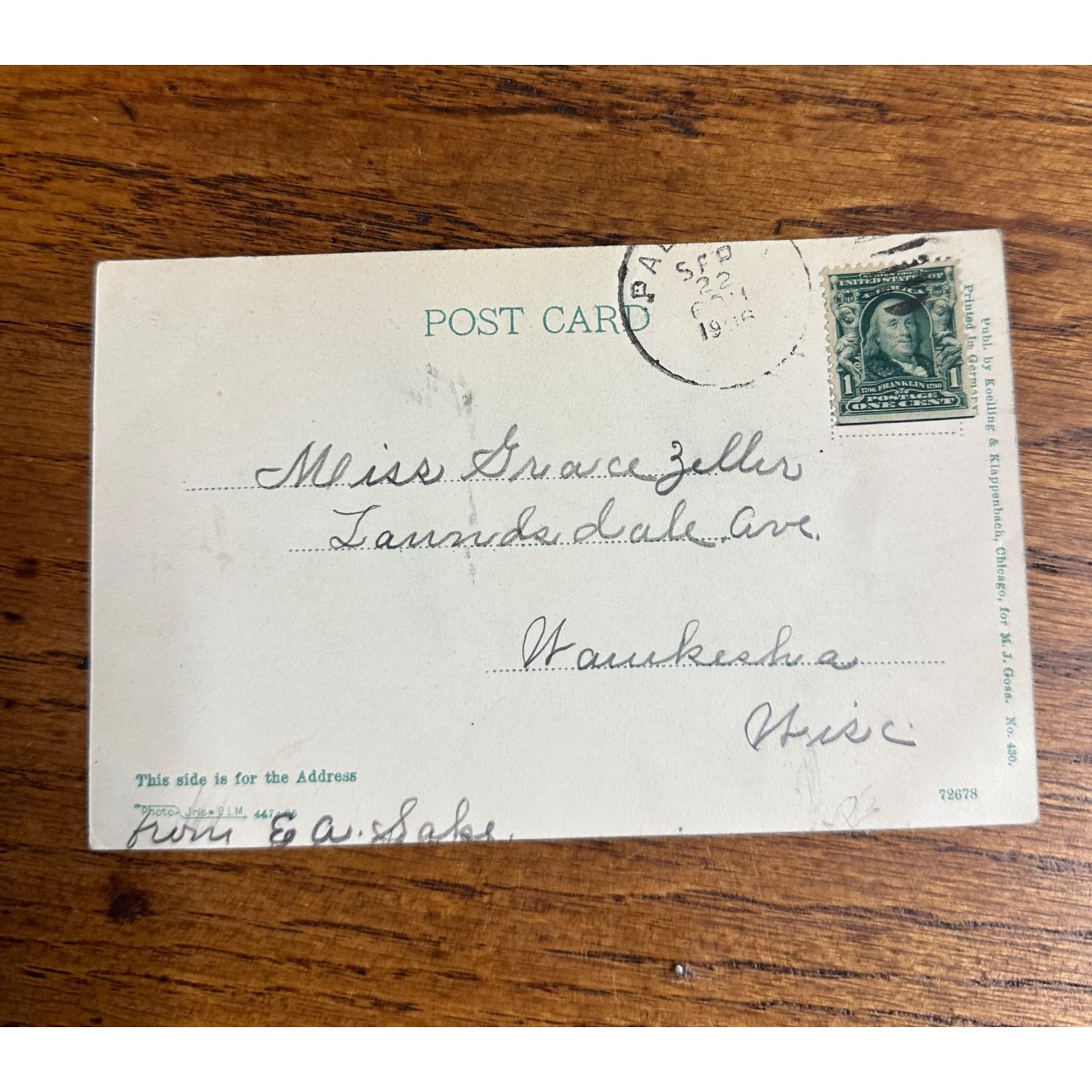 Vintage 1906 Palmyra Springs Wisconsin Wis Original Postcard WI