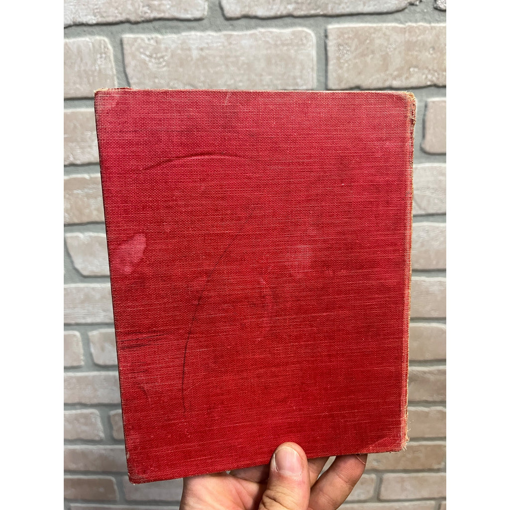 Antique 1919 Little Black Sambo Book by Helen Bannerman MA Donohue & Company