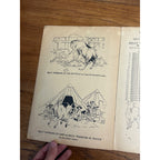 Vintage 1919 Billy Whiskers Painting And Drawing Book #250 Saalfield Publishing