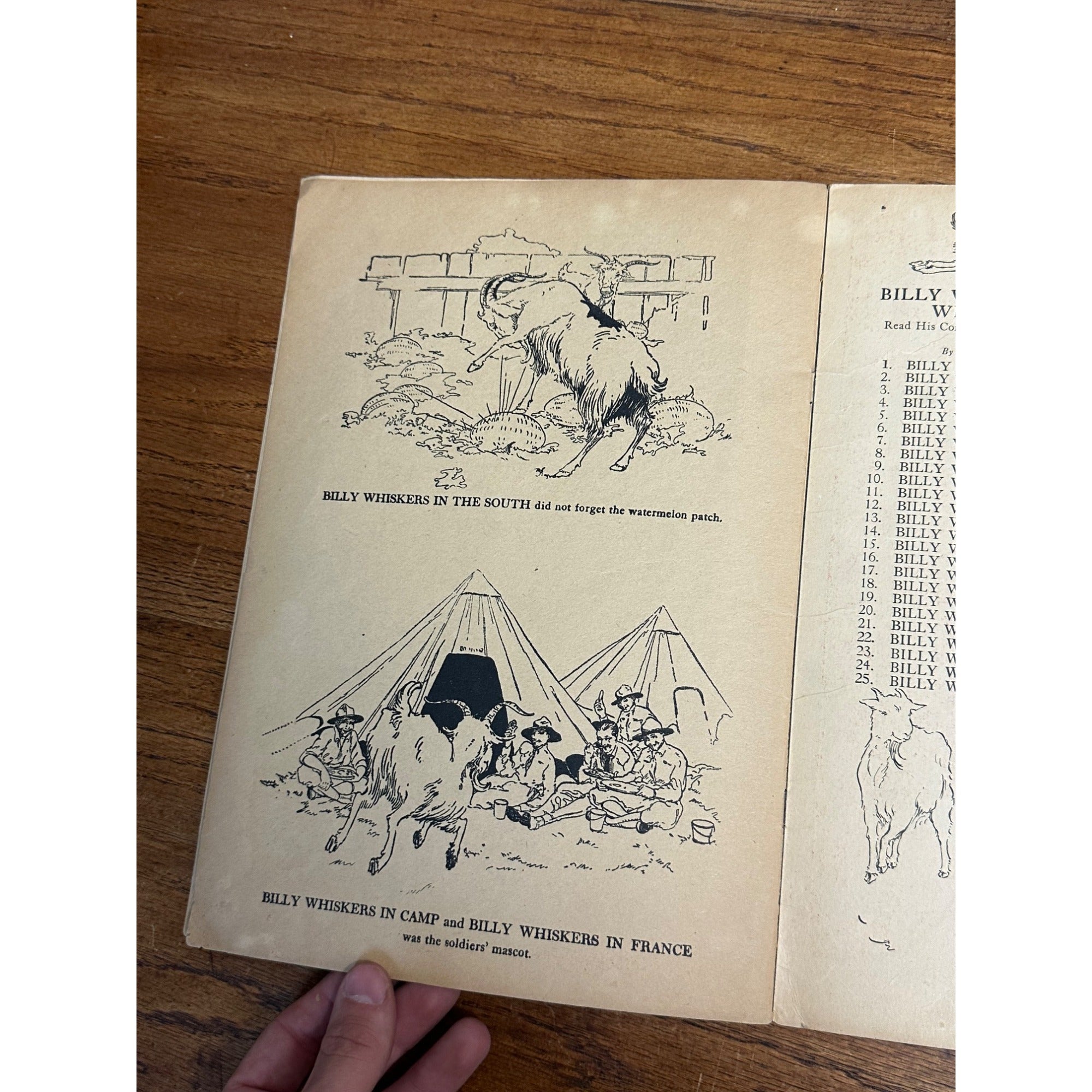 Vintage 1919 Billy Whiskers Painting And Drawing Book #250 Saalfield Publishing