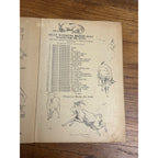 Vintage 1919 Billy Whiskers Painting And Drawing Book #250 Saalfield Publishing