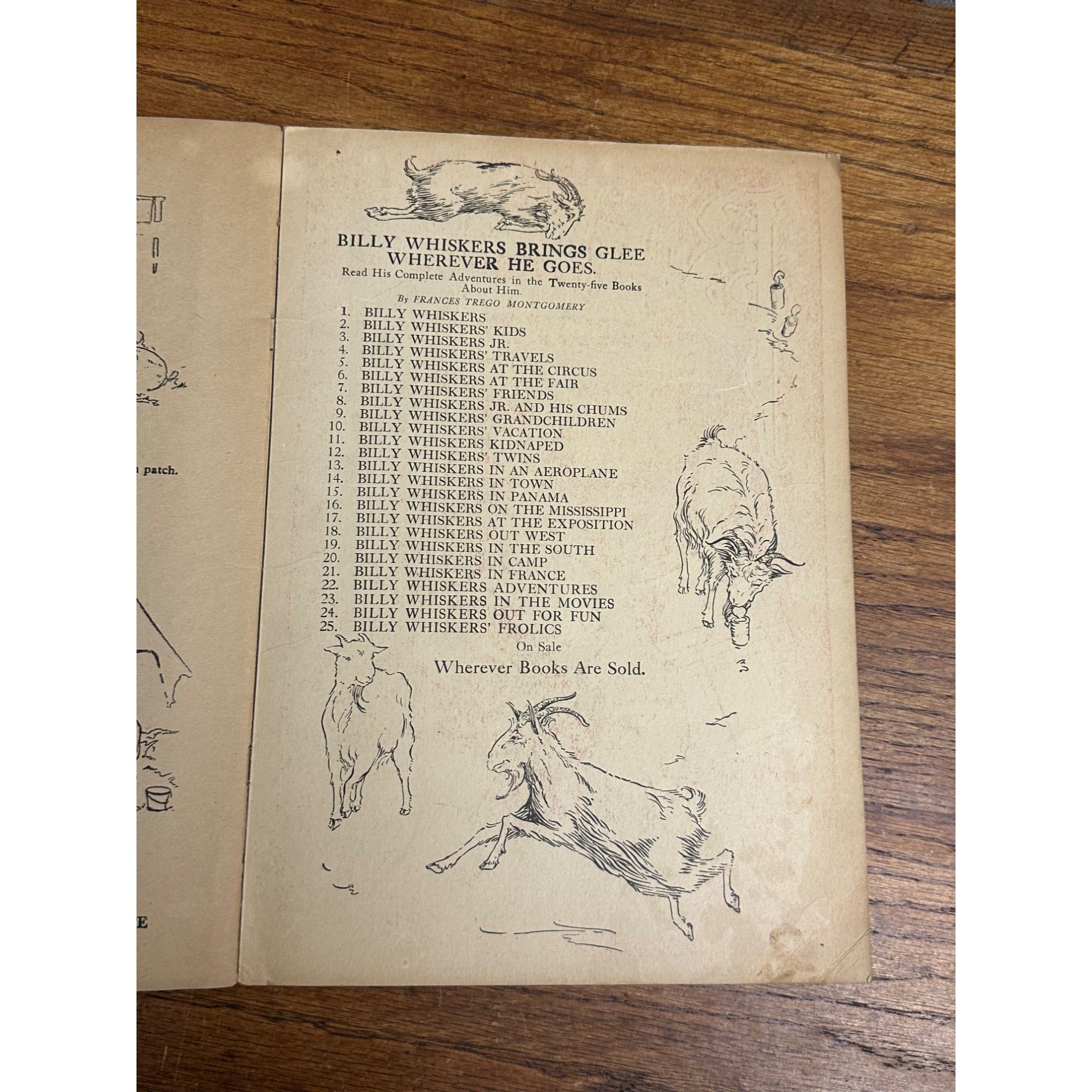 Vintage 1919 Billy Whiskers Painting And Drawing Book #250 Saalfield Publishing