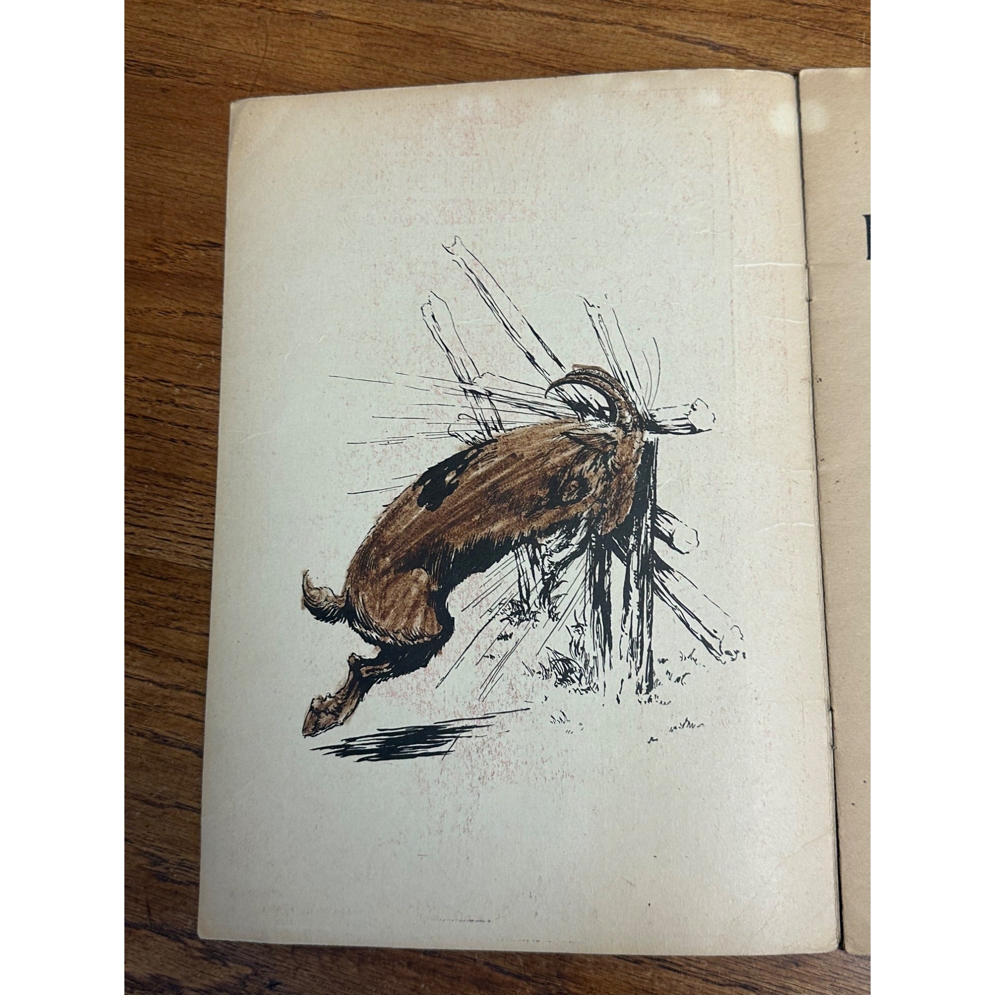 Vintage 1919 Billy Whiskers Painting And Drawing Book #250 Saalfield Publishing