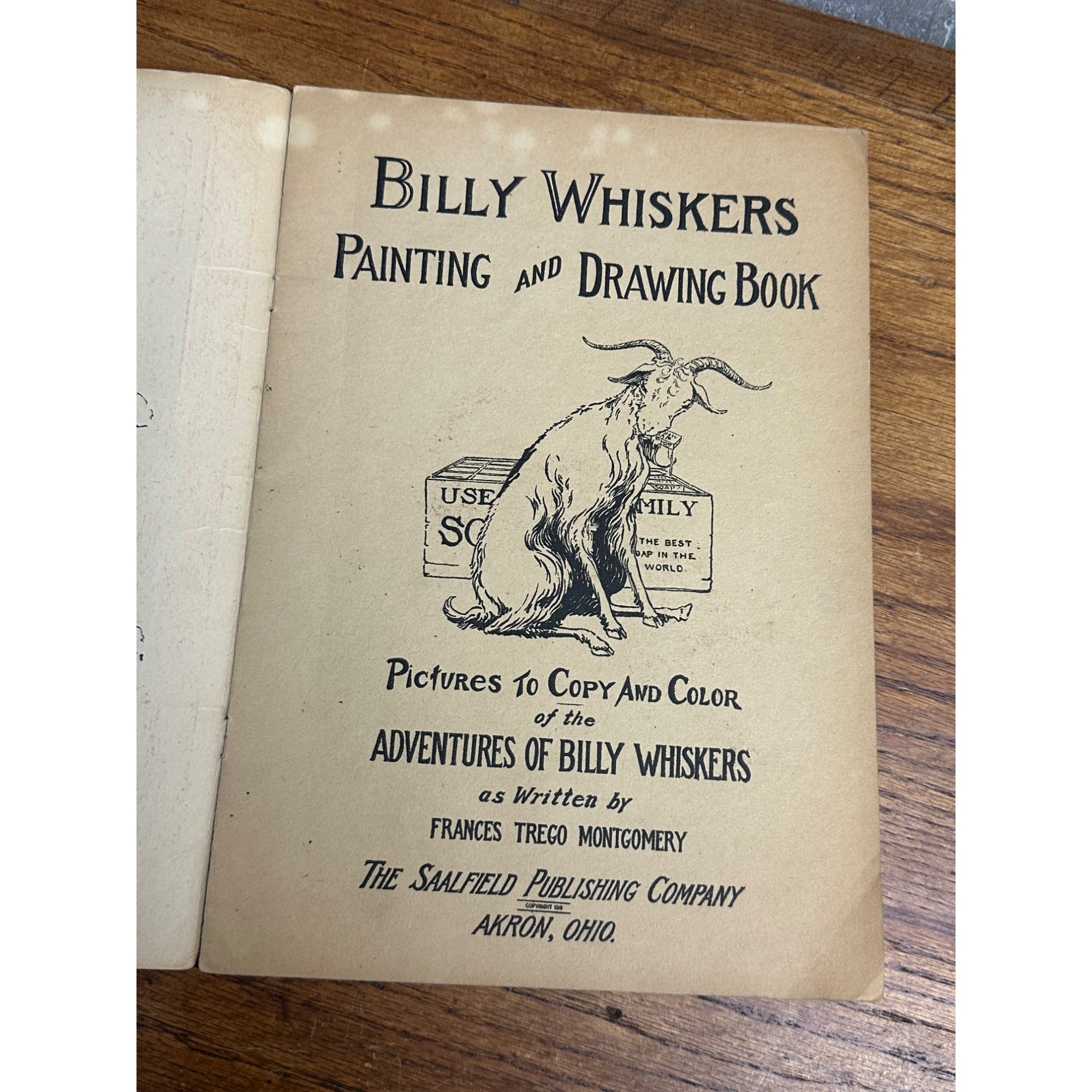 Vintage 1919 Billy Whiskers Painting And Drawing Book #250 Saalfield Publishing