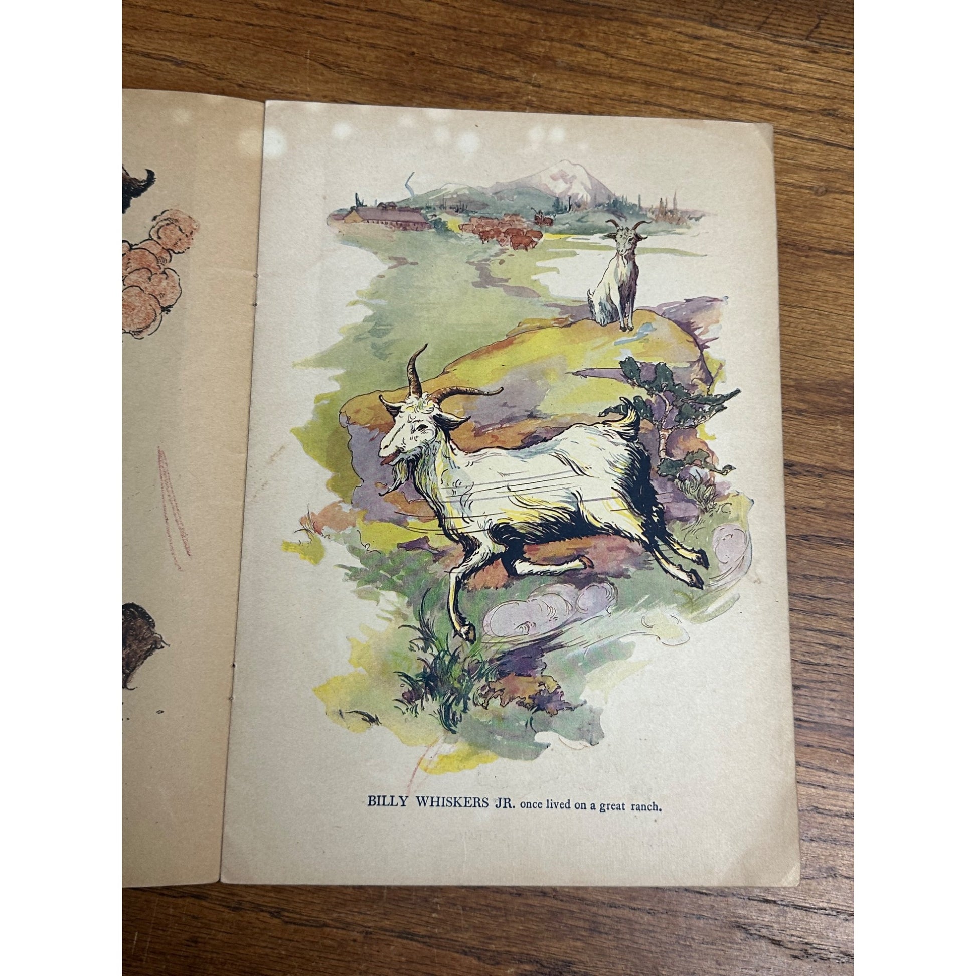 Vintage 1919 Billy Whiskers Painting And Drawing Book #250 Saalfield Publishing