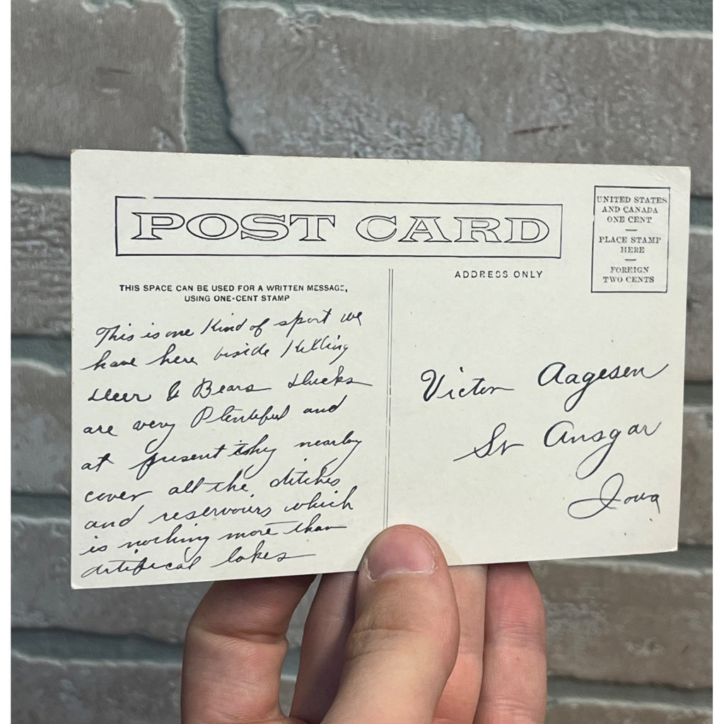 Greeley Colorado Postcard Coyote Roundup, Hunters On Horseback, Coyotes