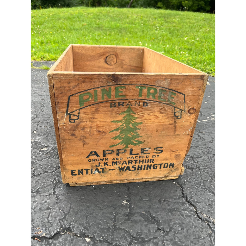 Old Pine Tree Brand Apples Wooden Crate Box Side Entiat Washington Xmas Farmhouse Decor