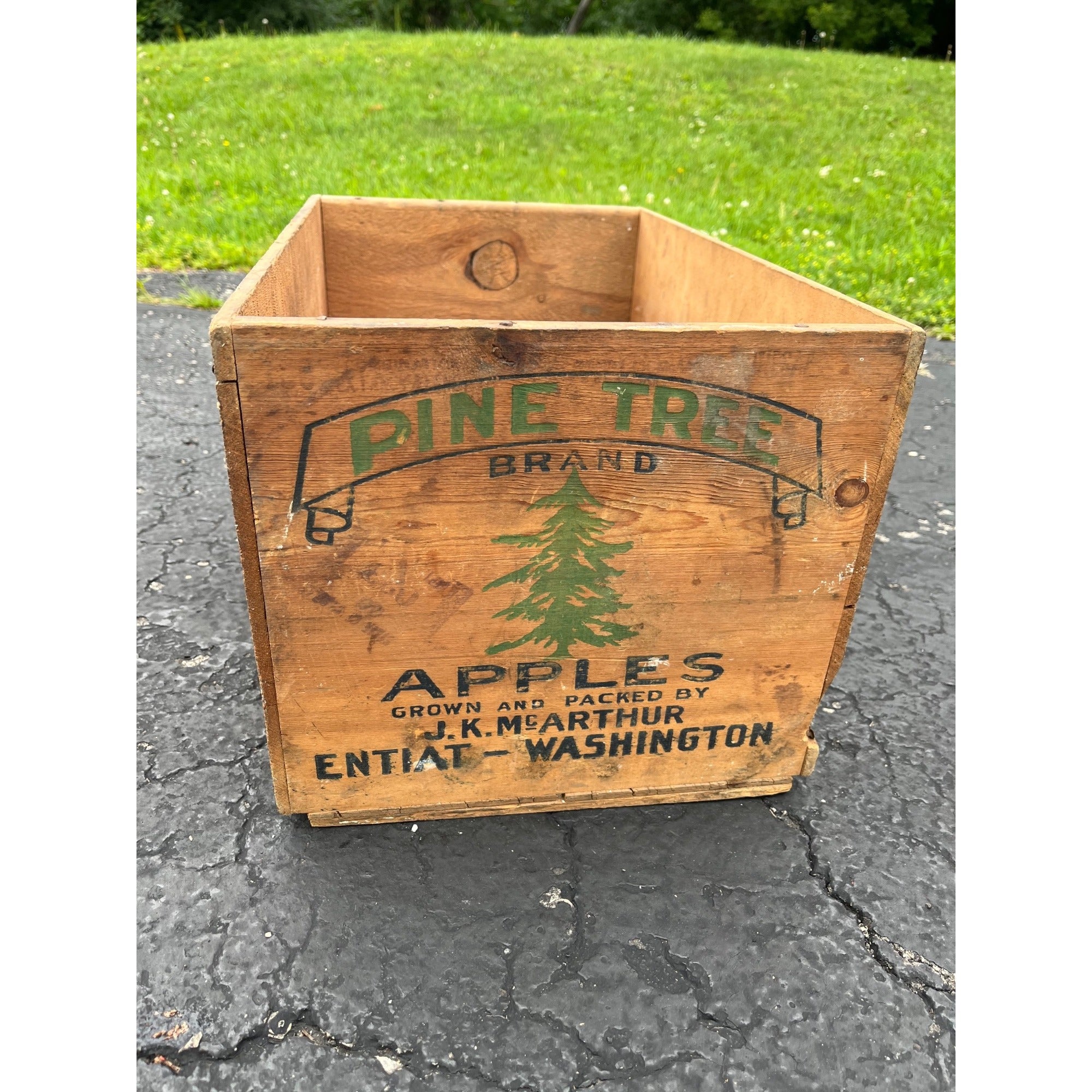 Old Pine Tree Brand Apples Wooden Crate Box Side Entiat Washington Xmas Farmhouse Decor