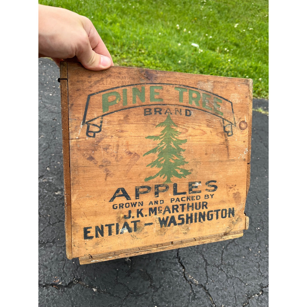 Old Pine Tree Brand Apples Wooden Crate Box Side Entiat Washington Xmas Farmhouse Decor