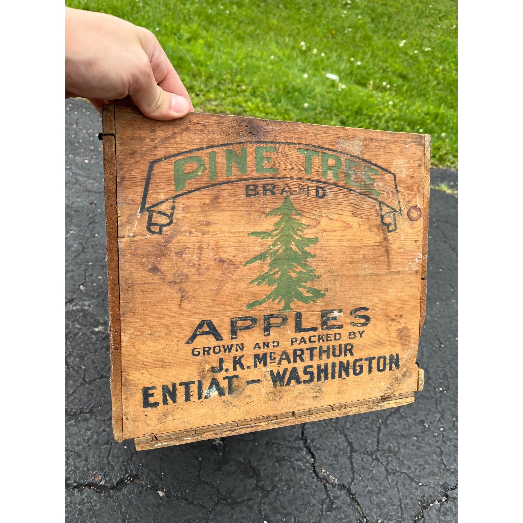 Old Pine Tree Brand Apples Wooden Crate Box Side Entiat Washington Xmas Farmhouse Decor