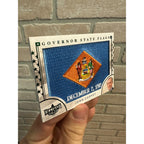 2020 Decision 2020 Governor State Flag Patches #GF8 John Carney - NM-MT
