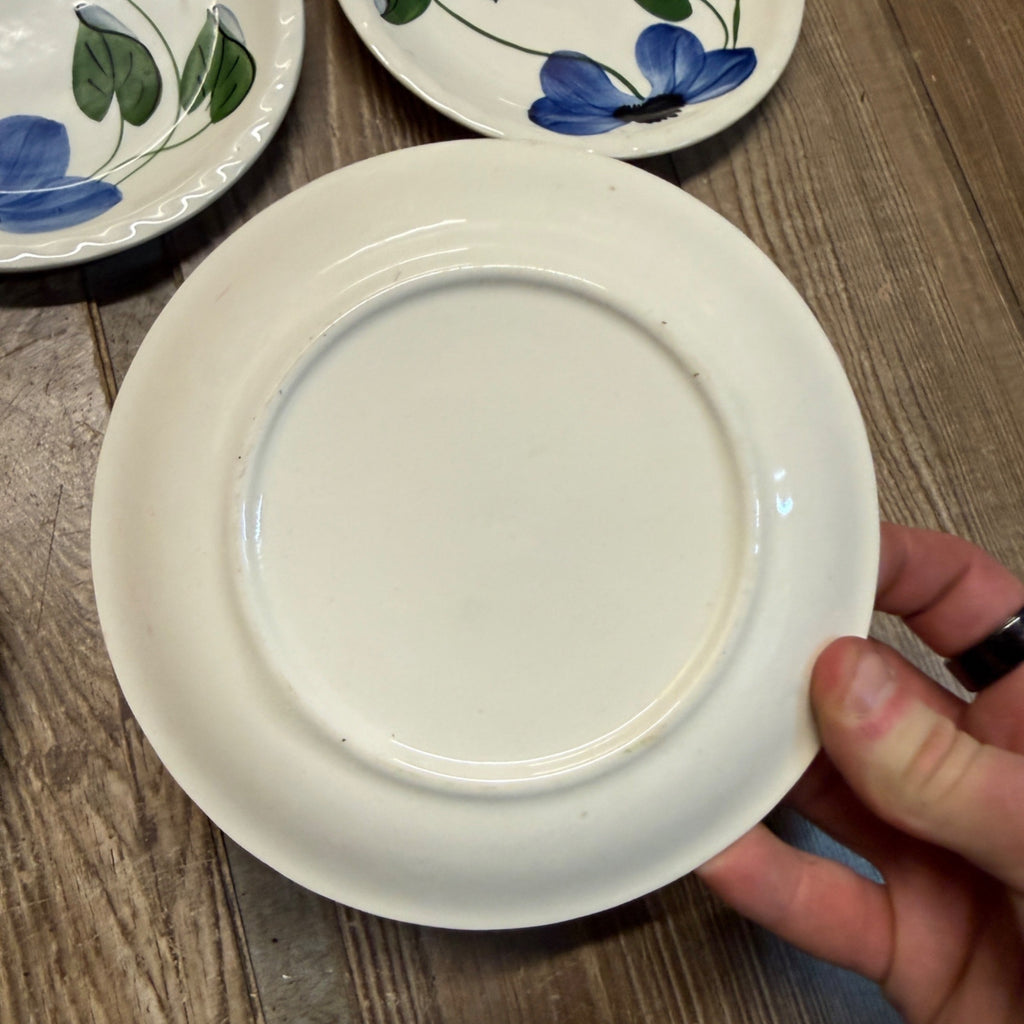 Vintage Blue Ridge Set of (10) Southern Blue & Red Flowers 6" Plates BRP167