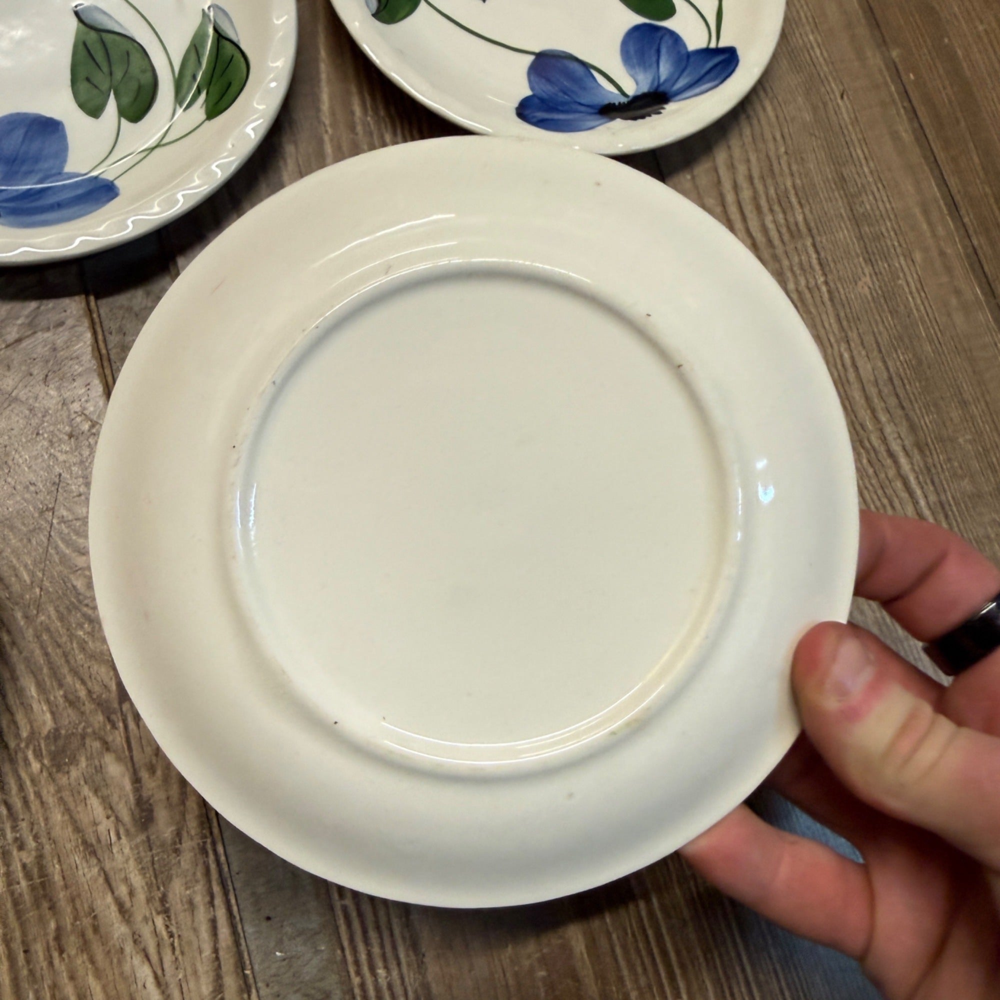 Vintage Blue Ridge Set of (10) Southern Blue & Red Flowers 6" Plates BRP167