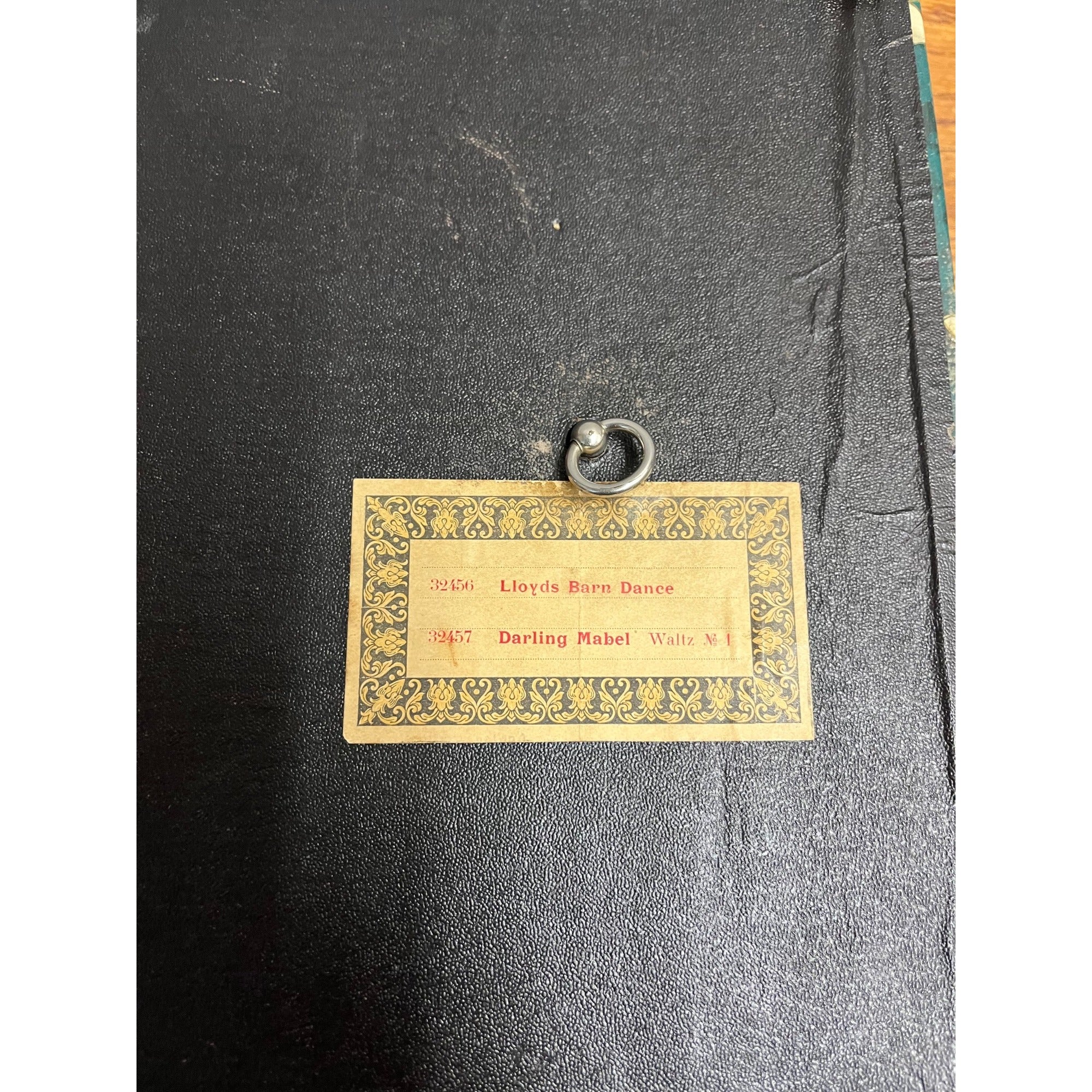 Antique 19th c. Victorian Celluloid Music Box Photo Album - Works