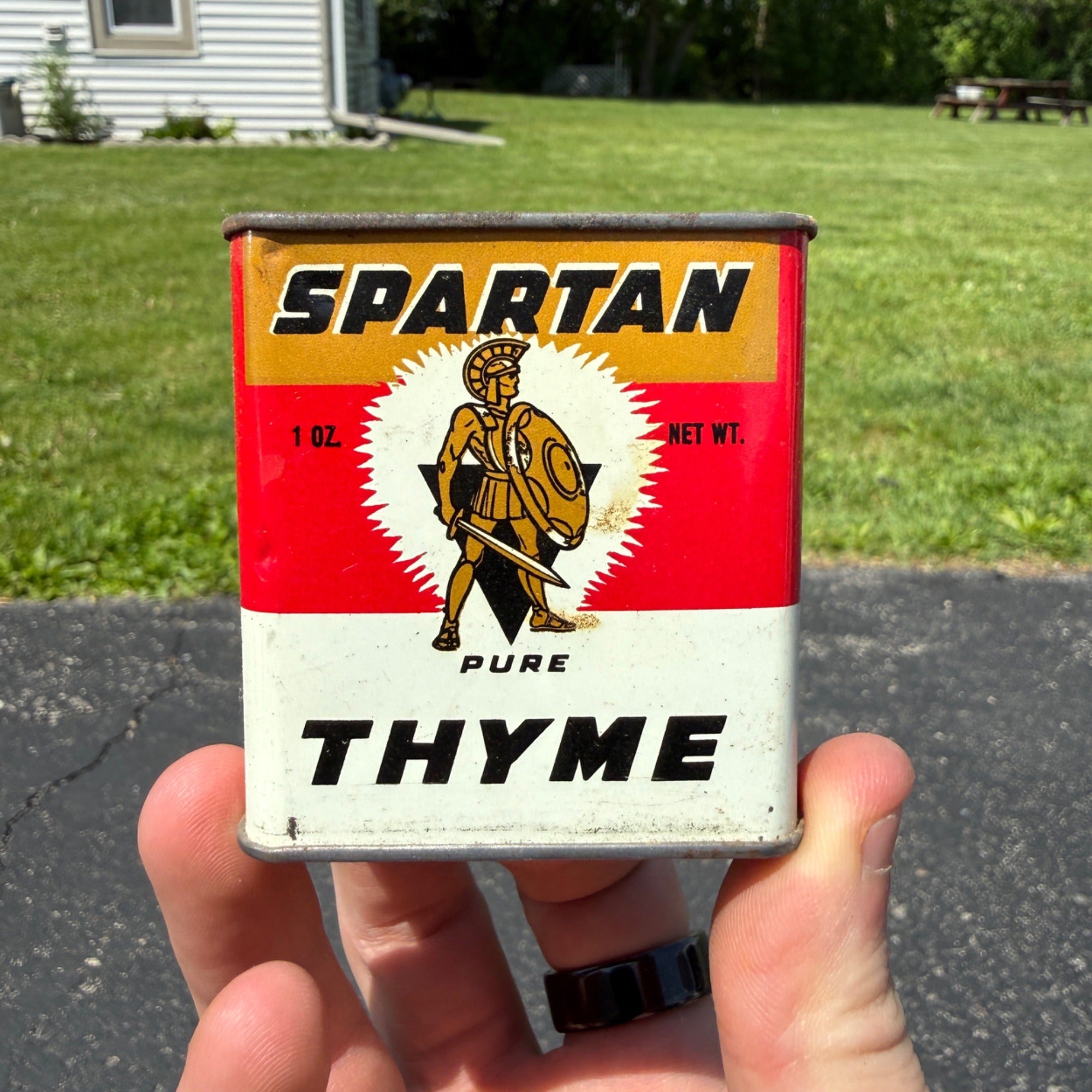 Vintage Spartan Thyme Tin Kitchen Decor 1960s Halloween